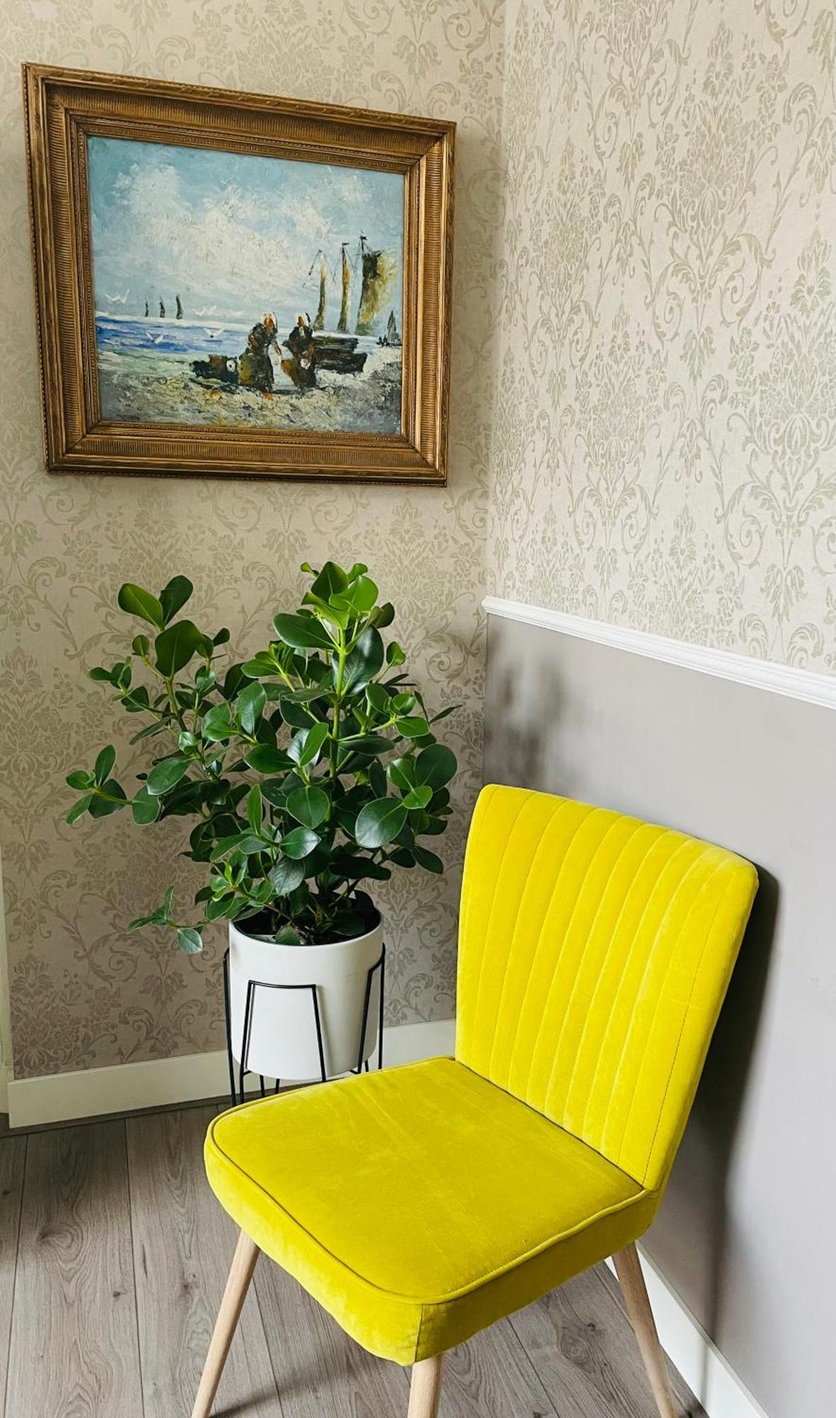 B&B De Notaris Assen Bagian luar foto